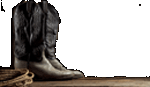 Western Leather Boots