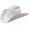 20X Custom Felt Hat