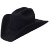 20X Grizzly Custom Felt Hat