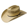 Bailey Costa Rustic Straw Hat
