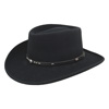 Bailey Eddy Bros Black Hills Western Felt Hat