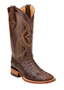 Ferrini� Ladies Hornback Caiman Square Toe Western Boots - Sport Rust