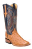 Ferrini� Ladies Full Quill Ostrich Square Toe Western Boots - Cognac
