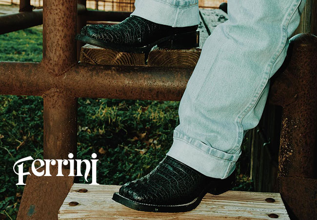 Ferrini Men's Boots