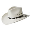 Bailey Kent Straw Hat